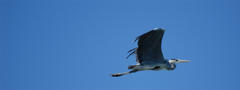 showcase-02-dsc_0121